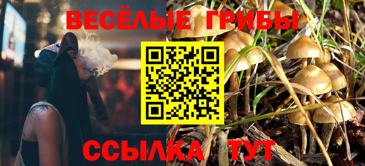 Киселёвск  Псилоцибиновые грибы мицелий  Вход с VPN 